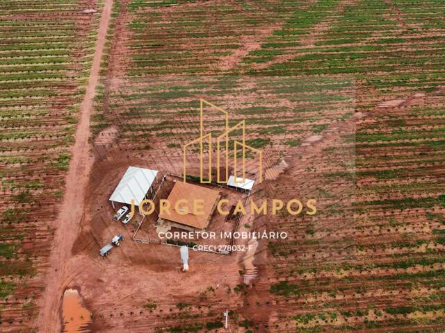 #FA-2470 - Fazenda para Venda em Campina Verde - MG