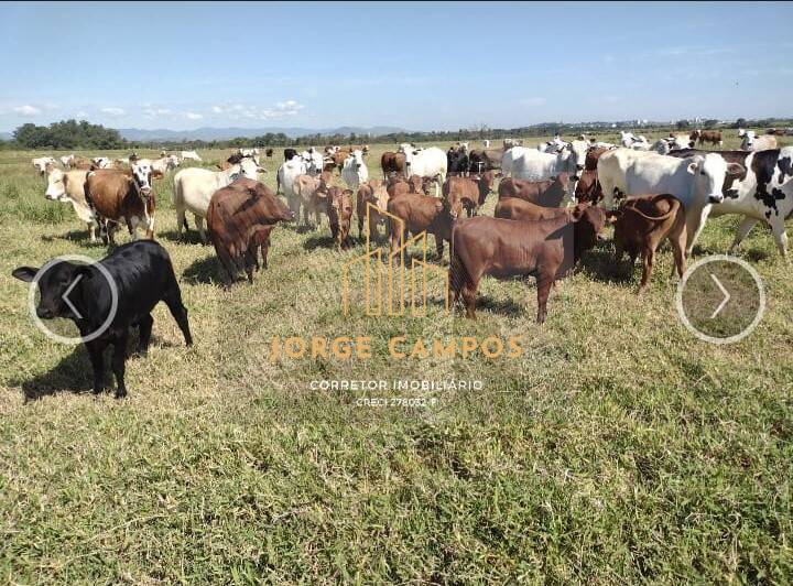 Fazenda à venda com 3 quartos, 146m² - Foto 1