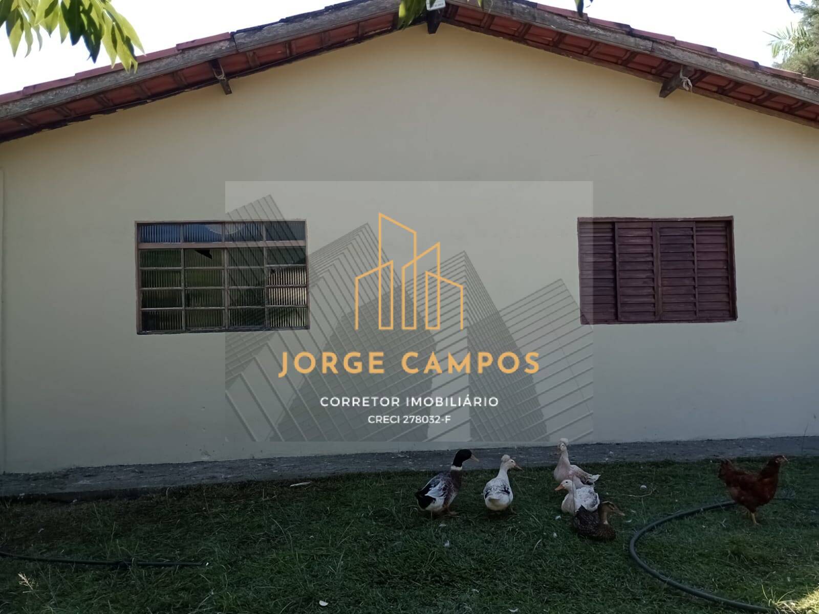 Fazenda à venda com 2 quartos, 120m² - Foto 30