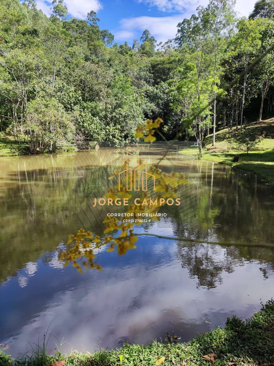 Fazenda à venda com 3 quartos, 100m² - Foto 17