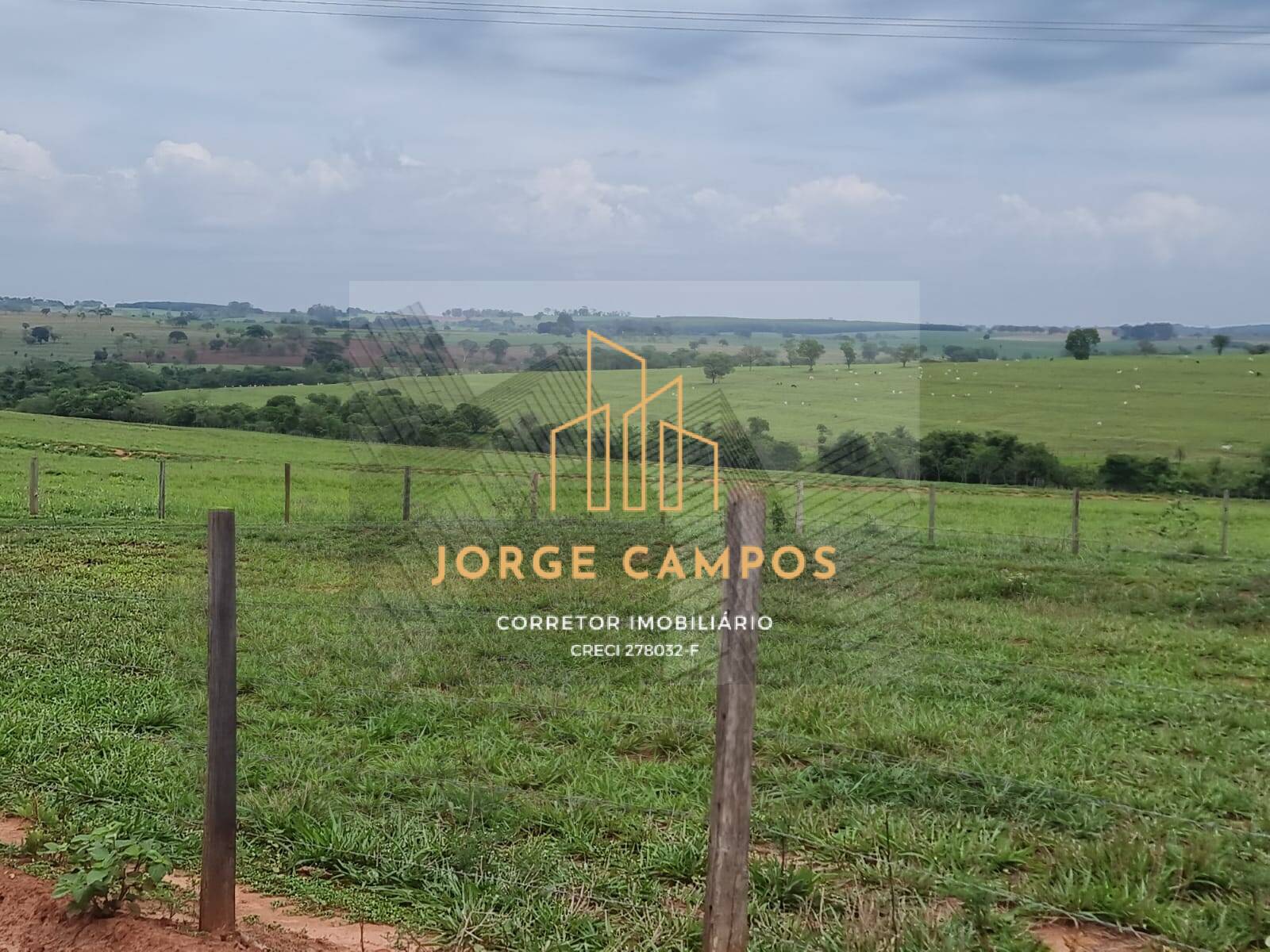 Fazenda à venda com 3 quartos, 300m² - Foto 6