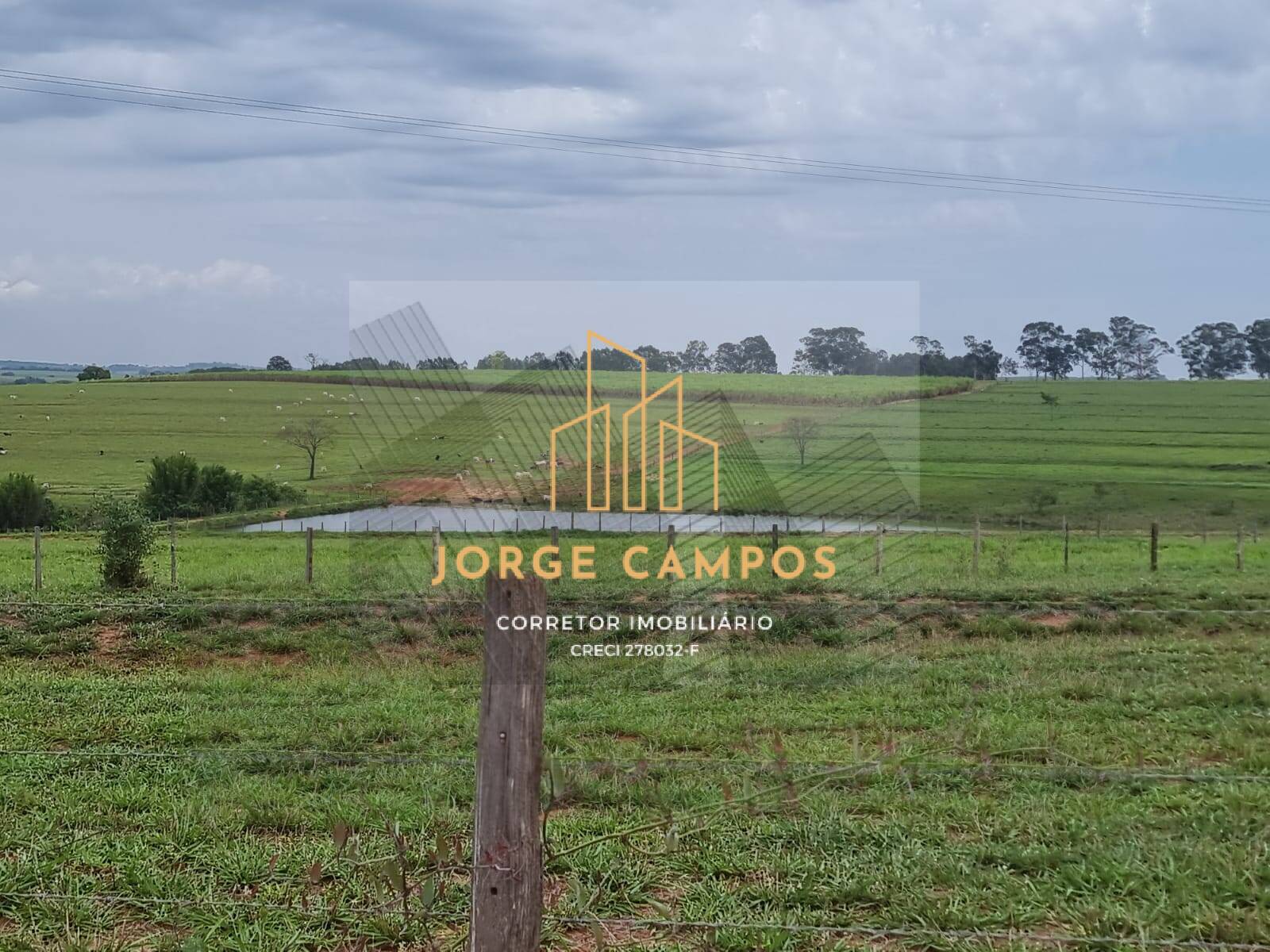 Fazenda à venda com 3 quartos, 300m² - Foto 7