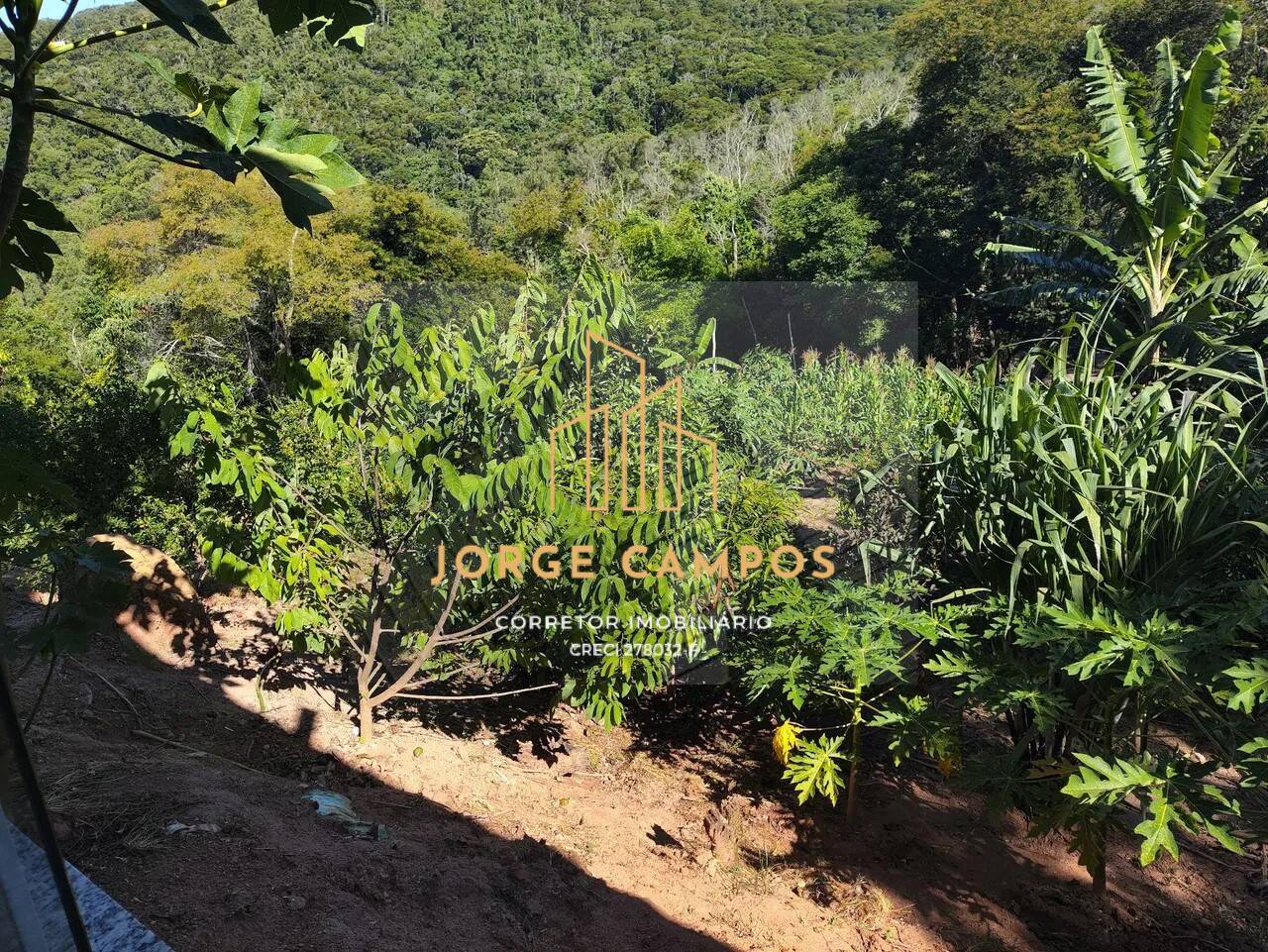 Fazenda à venda com 4 quartos, 100m² - Foto 7