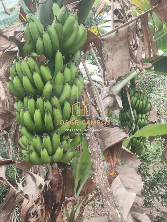 Fazenda à venda com 4 quartos, 100m² - Foto 20