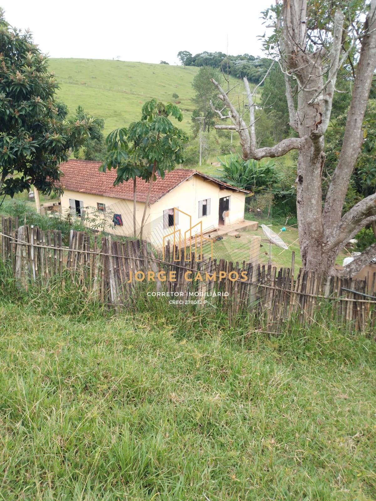 Fazenda à venda com 2 quartos, 100m² - Foto 2