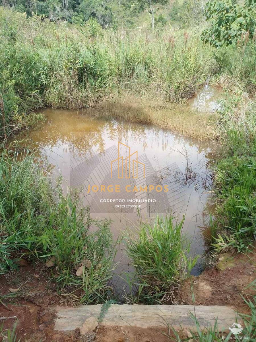 Fazenda à venda com 2 quartos, 100m² - Foto 3