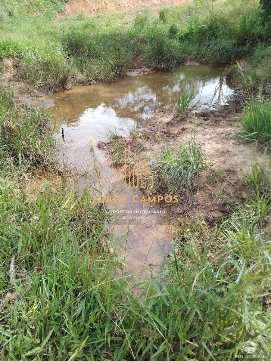 Fazenda à venda com 2 quartos, 100m² - Foto 4