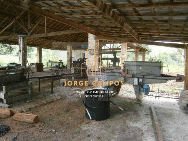 Fazenda à venda com 4 quartos, 200m² - Foto 20