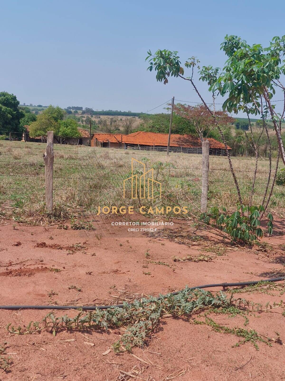 Fazenda à venda com 2 quartos, 70m² - Foto 8