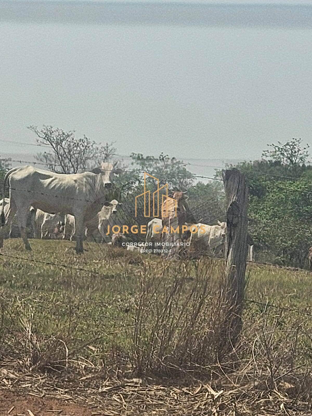 Fazenda à venda com 2 quartos, 70m² - Foto 10