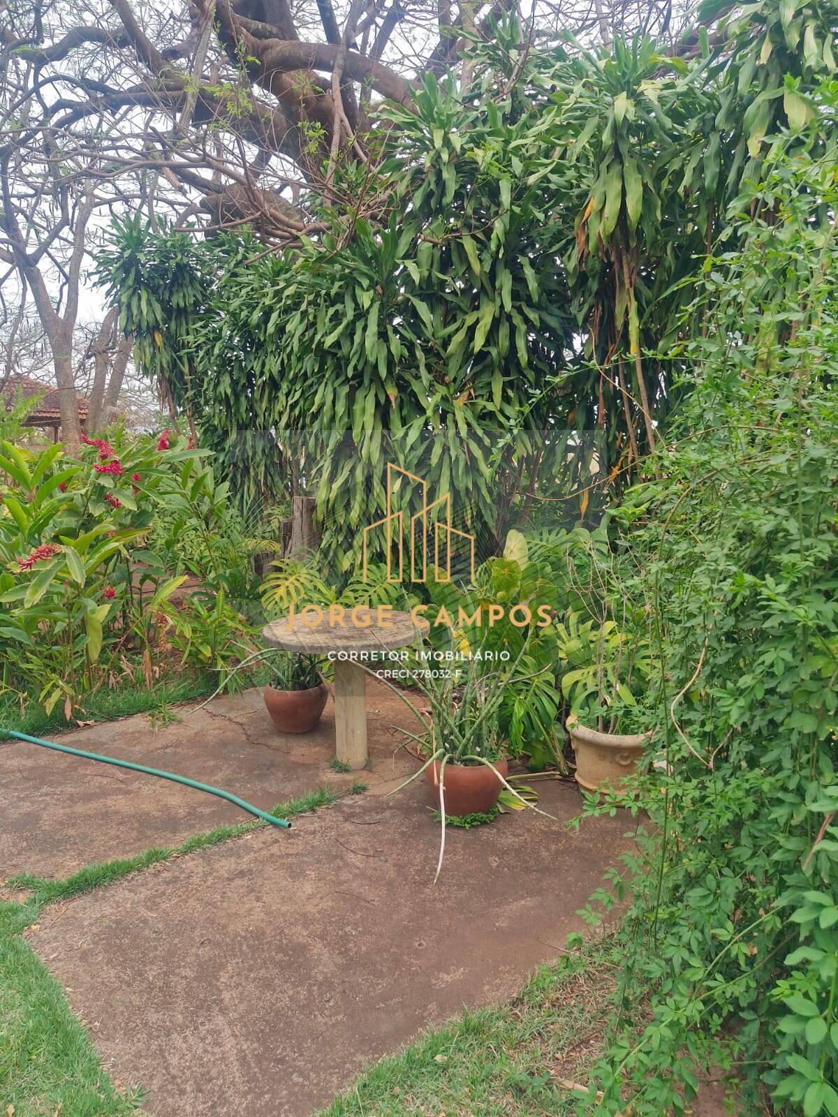 Fazenda à venda com 4 quartos, 56m² - Foto 49