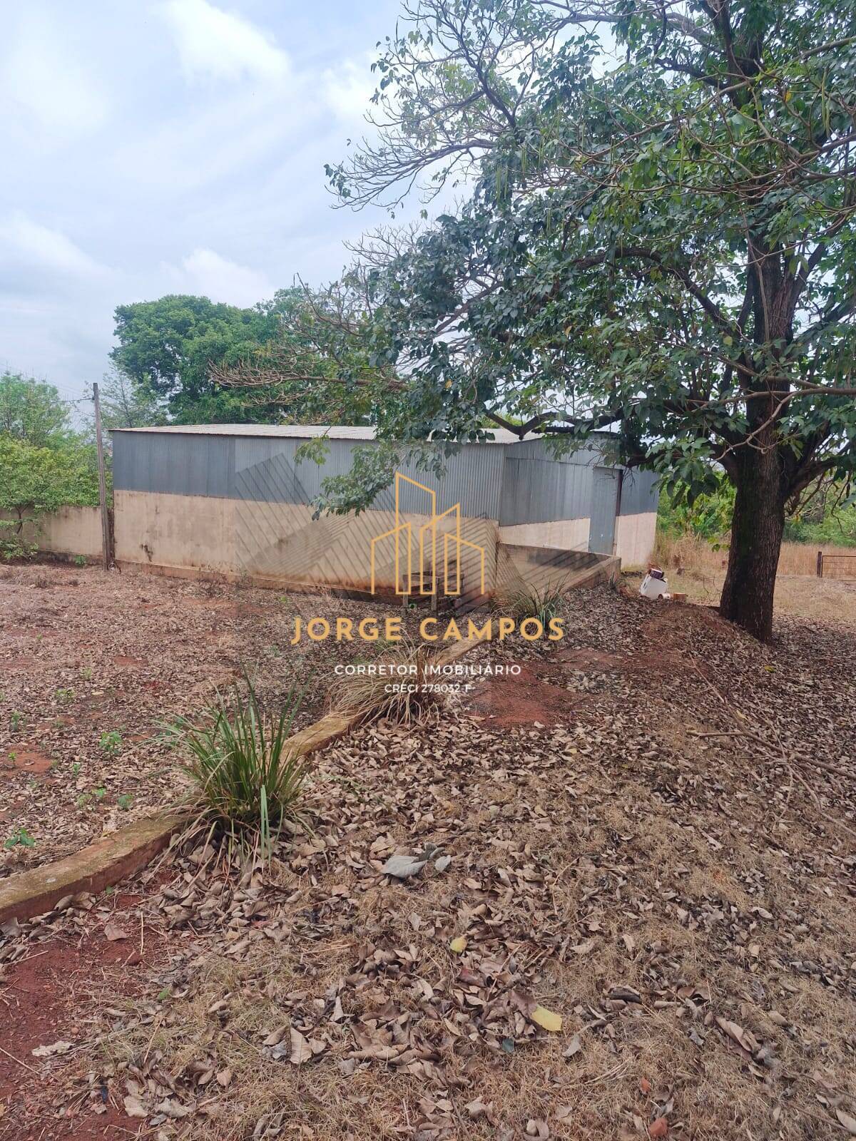 Fazenda à venda com 4 quartos, 60m² - Foto 3